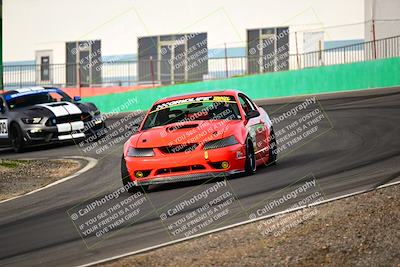media/Feb-25-2024-Speed Ventures (Sun) [[b9a2a97a4d]]/Mustang Drivers Club/Session 1 (Turns 4 and 5)/